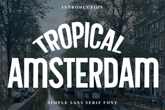 Tropical Amsterdam: A Festive Display Font for Small Business Branding